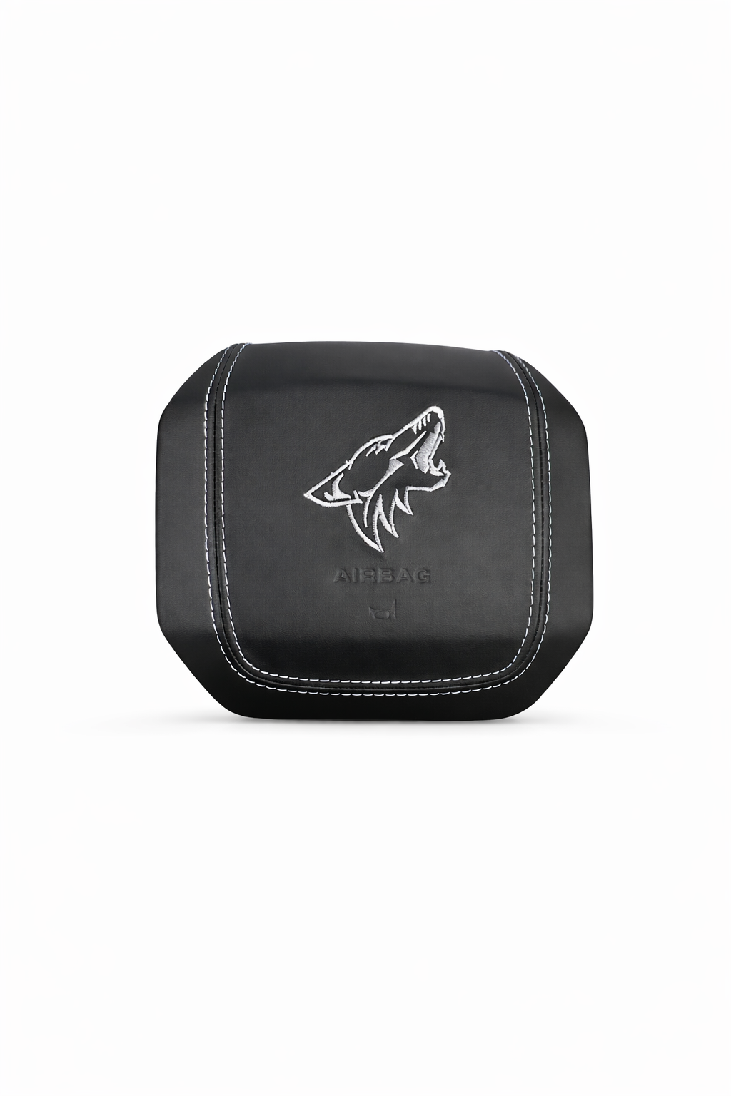 Custom F150 AirBag Cover