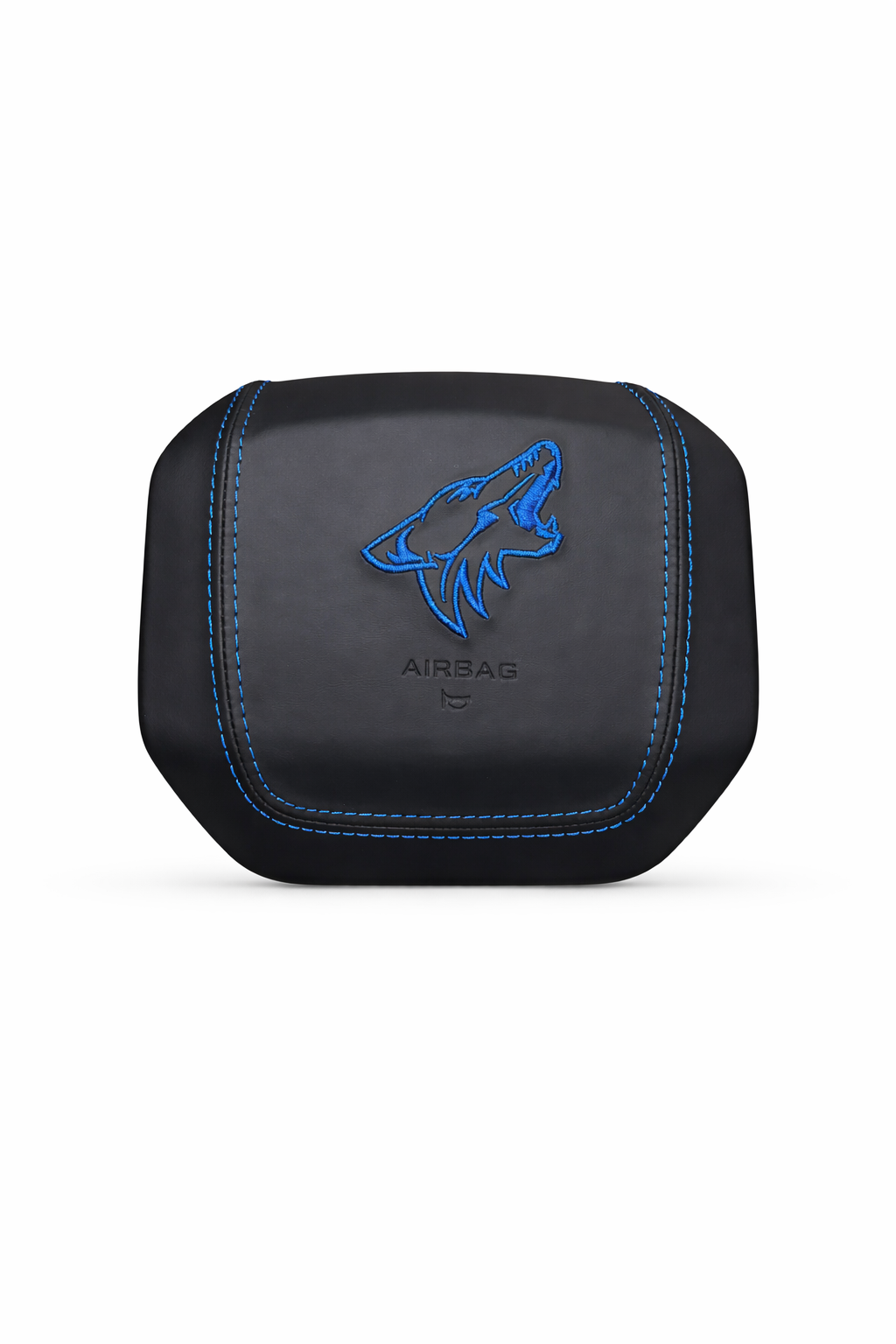 Custom F150 AirBag Cover