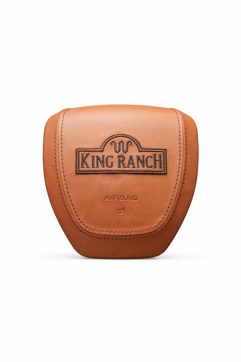 Custom F150 AirBag Cover