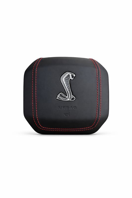 Custom F150 AirBag Cover