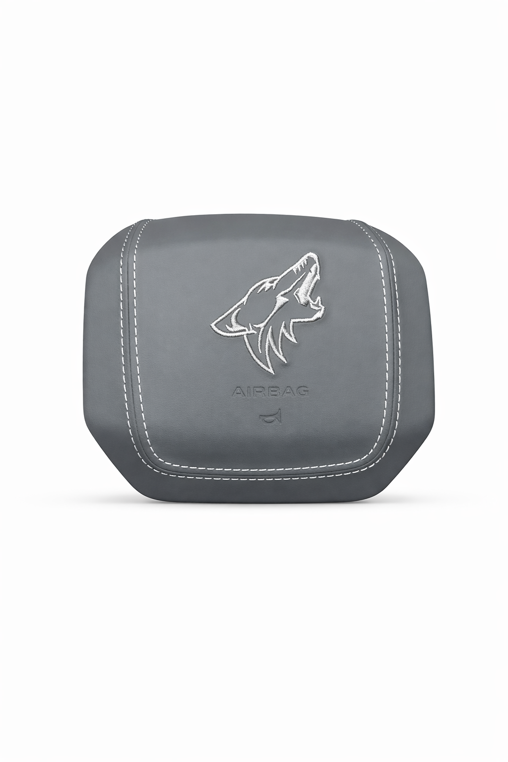 Custom F150 AirBag Cover