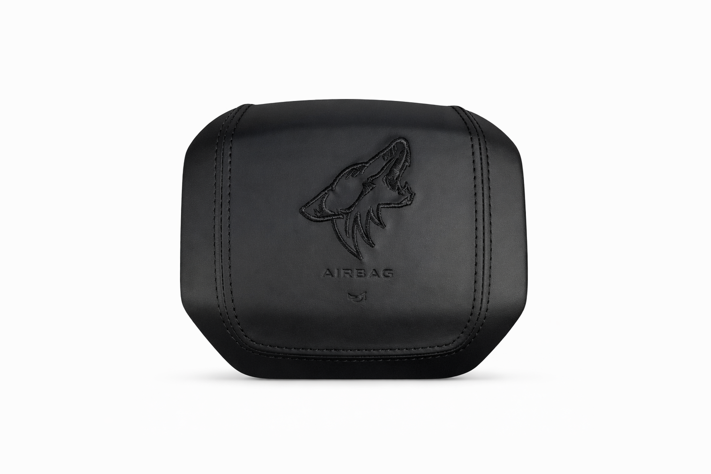 Custom F150 AirBag Cover